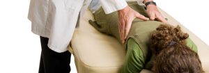 Chiropractic Lake in the Hills IL Conservative Treatment For Back Pain