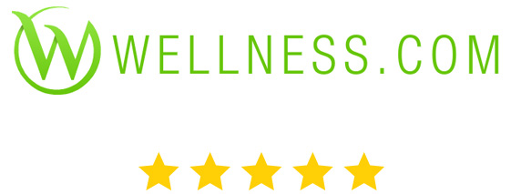 Wellness dot Com Logo With Stars